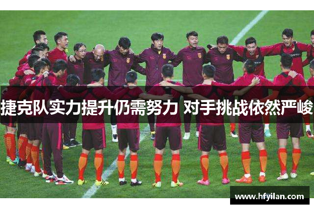 捷克队实力提升仍需努力 对手挑战依然严峻