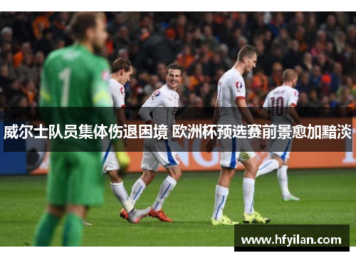 威尔士队员集体伤退困境 欧洲杯预选赛前景愈加黯淡