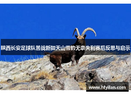 陕西长安足球队苦战新疆天山雪豹无奈失利赛后反思与启示